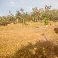 Akagera homestay, hotell i Rwinkwavu