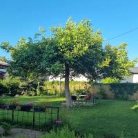 PLACE FOR relaxed camping under the walnut