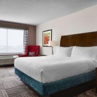 Hilton Garden Inn Denver South Park Meadows Area