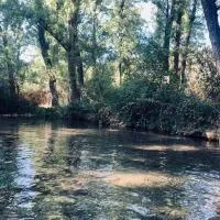 Azahares Apartamento turístico, hotell i El Bosque