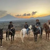 Horse & Bed Hostel, hôtel à Puebla