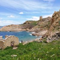 Joli appartement en Corse avec piscine