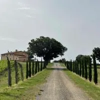Podere Aurora, Hotel in Massa Marittima