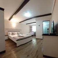 Casa de oaspeti Abby cu piscina si jacuzzi, hotel in Moldoveneşti
