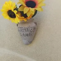 Stranizza D'amari, hotel u gradu Casa Santa