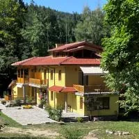 Вила Ренесанс Костенец، فندق في كوستينيتس