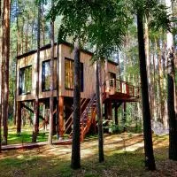 Tree Houses Olszanka، فندق في Puszcza Mariańska