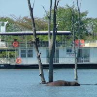 Houseboat with aircon and splash pool - 2128, hotel u gradu 'Kariba'