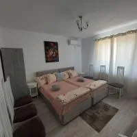 Casa Ramona, hotel v destinaci Socodor