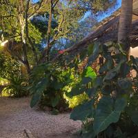 Viešbutis Atii Garden Bungalows (Nungwi Beach, Nungvis)