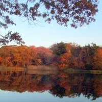 House on Chase Creek – hotel w mieście Shelter Island Heights