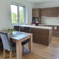 Apartmán Ostrov nad Oslavou, hotel u gradu Ostrov nad Oslavou