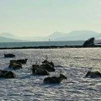 Warm and cozy cottage, Great location, hotel en Kvaløya