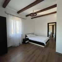 Pensiunea La Conac, hotel in Bîrlad
