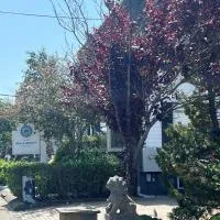Ellery Hotel Provincetown, hotel in Provincetown