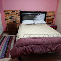 Backpacker hostal oruro – hotel w pobliżu miejsca Juan Mendoza Airport - ORU w mieście Oruro