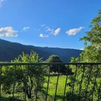 Willi's Moselschlösschen, hotell i Neumagen-Dhron