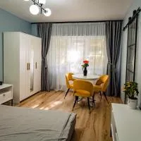 Modern studio D-va N, hotel em Zalău
