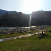 Yellow Valley Homestay, hotel in Solan