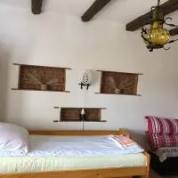 Facilitati cazare Raluca, hotel i Viscri