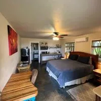 Private Ohana on the lush Hamakua coast with AC，Honokaa的飯店