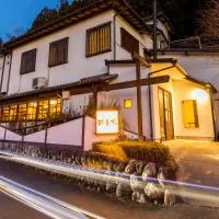 Ryokan Hiyoshi, hotel v destinácii Chichibu