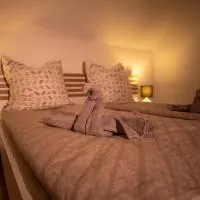 Hochrhein Ferienwohnung, viešbutis mieste Albriukas
