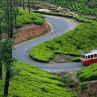 Vagamon में, होटल Green and Green