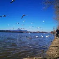 Duna Riverside: Dunakeszi şehrinde bir otel