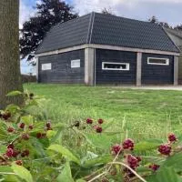 De Barg: Vinkenbuurt şehrinde bir otel