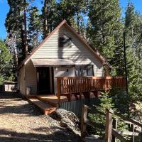 Sequoia National Forest Cabin-D