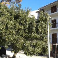 Apartments with parking space Brela, Makarska - 20007, hotel in Brela