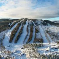 Hassela Ski Resort、Hasselaのホテル