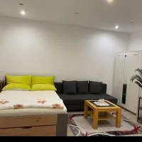 Studio Apartment Zentrum Rüsselsheim, hotel en Falkenberg