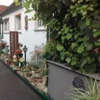 Landpension Villa Dominikus, khách sạn ở Mömbris