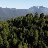 Espíritus del Cañi. Tiny home y destilería: Pucón'da bir otel