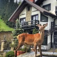 Pensiunea Poiana Izvoarelor, hotel di Vatra Dornei