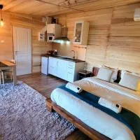 Chalet avec bain nordique, hotell i Durfort