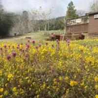 Shirley Creek Retreat: a Mountain Oasis, hotel sa Wofford Heights