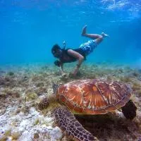 Empyrean Stay, Maldives – hotel w mieście Thulusdhoo