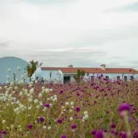 Monte de Palma- Quinta Biodinâmica Momentos Únicos, hotel a Évora