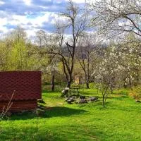 Friendship Cabin (Friendship Land) โรงแรมในŞelari