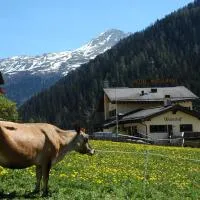 Hotel Restaurant Walserhof, hotel en Medels im Rheinwald