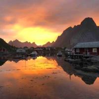 Exclusive and genuine in Lofoten- SAUNA included