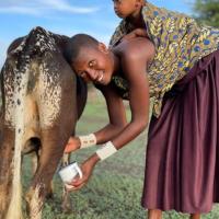 Mombo Maasai Culture Homestay:  bir otel