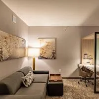 SpringHill Suites by Marriott Dallas McKinney, hótel í McKinney