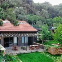 Triada Hotel Büyükada, Hotel in Adalar