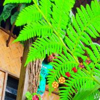 Imaio home stay, hotel near Tanna Airport - TAH, Ipenyen