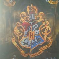 Harry Potter theme Double room in shared house