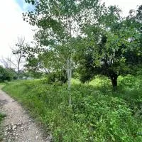 Къмпинг Частен Двор BULGARIAN CAMPSITE for Tents, hotel en Kazanlak